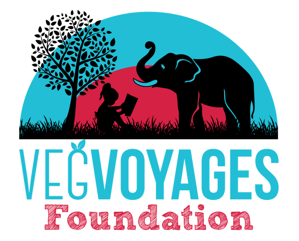 logo-on-white-vegvoyage-foundation-1654713910487